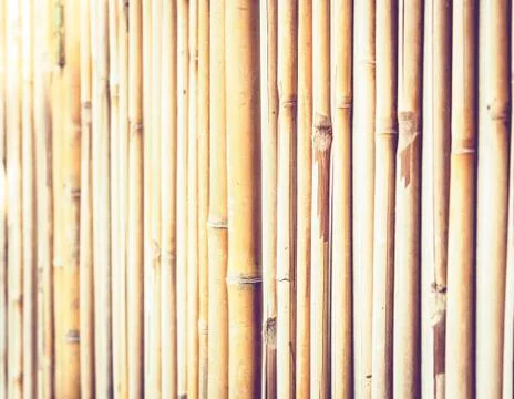Bamboo background texture with copy space for text. Stock Photos