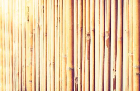 Bamboo background texture with copy space for text. Stock Photos