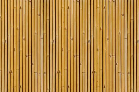 Bamboo background texture Stock Photos
