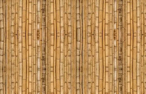 Bamboo background in vertical alignment Stock Photos