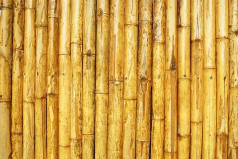 Bamboo backgrounds texture Stock Photos