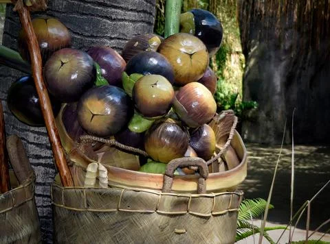 Bamboo in a Balinese Garden. Stock Photos