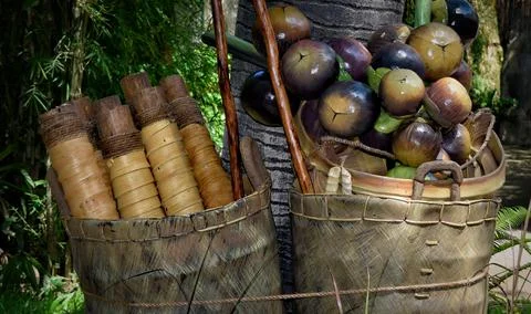 Bamboo in a Balinese Garden. Stock Photos