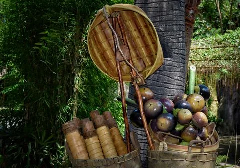 Bamboo in a Balinese Garden. Stock Photos