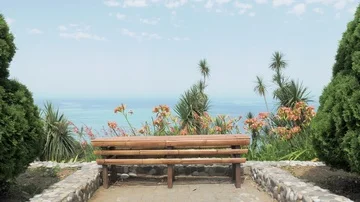 Bamboo bench in one of the biggest botanical park - Batumi, Georgia Stock Footage 85535285