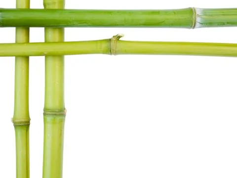 Bamboo borders Stock Photos