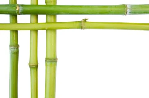 Bamboo borders Foto stock