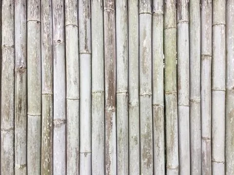 Bamboo boundary wall material texture pattern Stock Photos