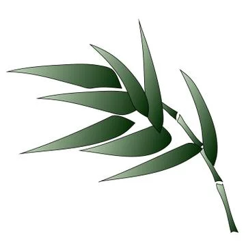 Bamboo branche Stock Illustration