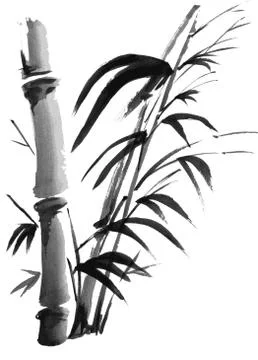 Bamboo branches isolated on the white background. Stock Illustration