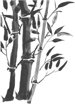 Bamboo branches isolated on the white background. Stock Illustration