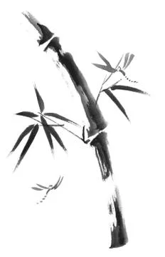Bamboo branches isolated on the white background. Stock Illustration