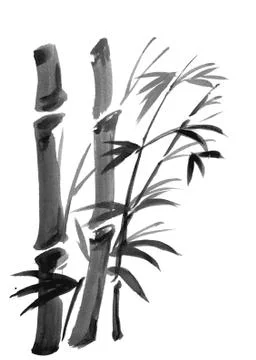 Bamboo branches isolated on the white background. Stock Illustration