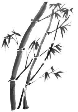 Bamboo branches isolated on the white background. Stock Illustration