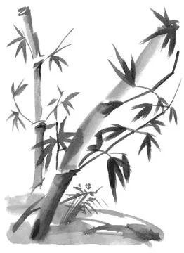 Bamboo branches isolated on the white background. Stock Illustration