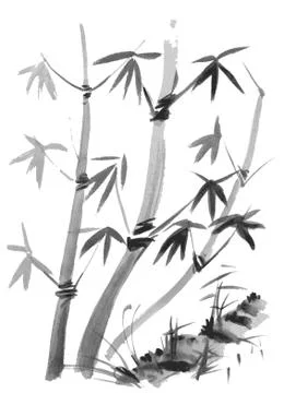 Bamboo branches isolated on the white background. Stock Illustration