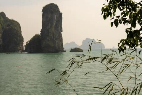 Bamboo branches overlooking limestone cliffs Thailand Stock Photos