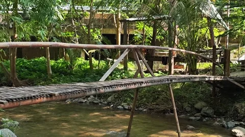 Bamboo bridge crossing a forest stream. Vídeo Stock 341260802