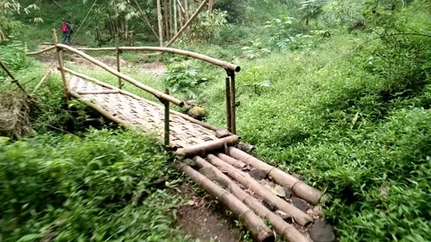 Bamboo bridge Stock Footage 228268246