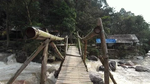 Bamboo bridge Stock Footage 239120466