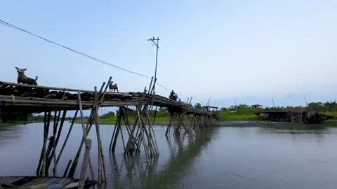 Bamboo Bridge in Kolkata Stock Footage 311525952