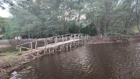 Bamboo bridge on the lake with pine tree. Stock Footage 274735352