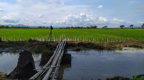 Bamboo bridge on moat Foto stock