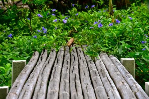 Bamboo bridge Stock Photos