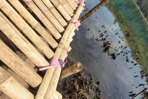 Bamboo bridge Stock Photos