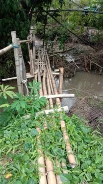 Bamboo Bridge Stock Photos