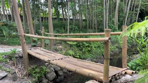 Bamboo Bridge In The Wood Stock Footage 163399463