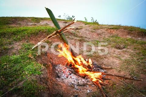 Bamboo burn on fire for food boiled cooking nature / Survival the forest Stock Photos