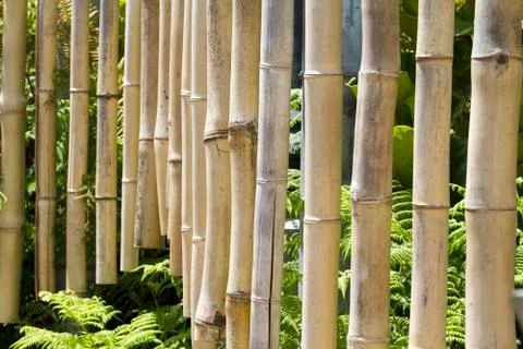 Bamboo Chimes Stock Photos