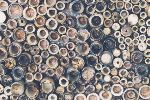 Bamboo circle cross section consisting of texture textured concept backgrou.. Stock Photos