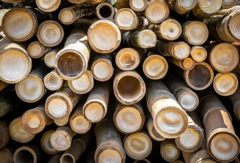 Bamboo circle cross section Stock Photos