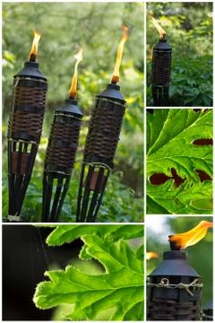 Bamboo Citronella Torch Stock Photos