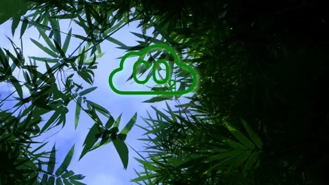 Bamboo CO2 Dissolve Blur Stock Footage 211646467