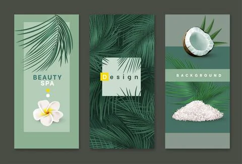 Bamboo coconut leaf background, spa poster and flyer. Salon voucher or brochu Stock Illustration