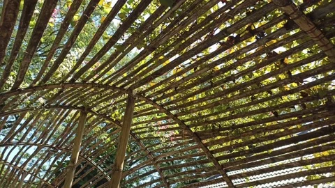 Bamboo craft design Stock Footage 197043137