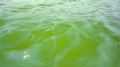 Bamboo with current dam Stock Footage 48951062