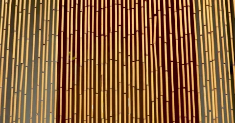 Bamboo curtain movement Stock Footage 156865276