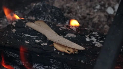 Bamboo Cutlery Burning in a Campfire Stock Footage 196903275