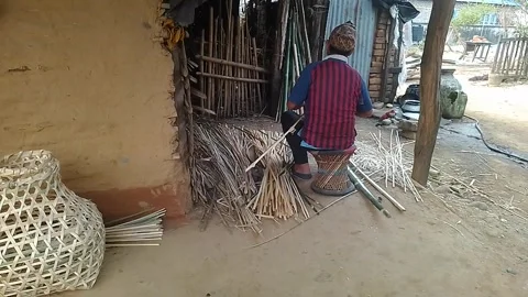 Bamboo cutting for doko making Stock Footage 305290930