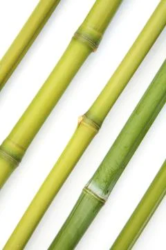 Bamboo diagonal Stock Photos