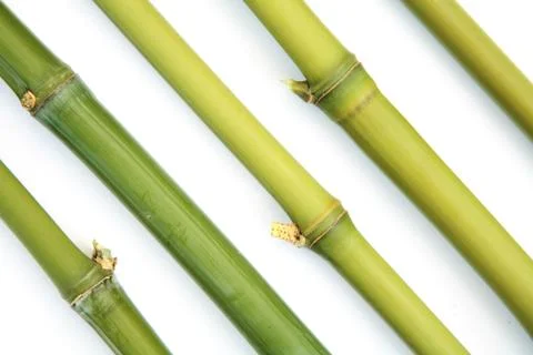 Bamboo diagonal Stock Photos