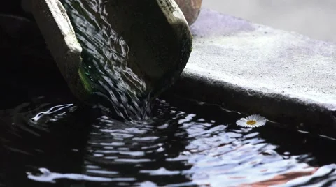 Bamboo Drainage Gutter Empties Into Pool Of Water 02 4K 스톡 동영상 41228048