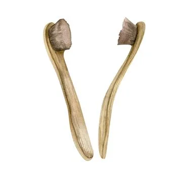 Bamboo eco toothbrush set. Zero waste body care element , wooden texture brus Stock Illustration