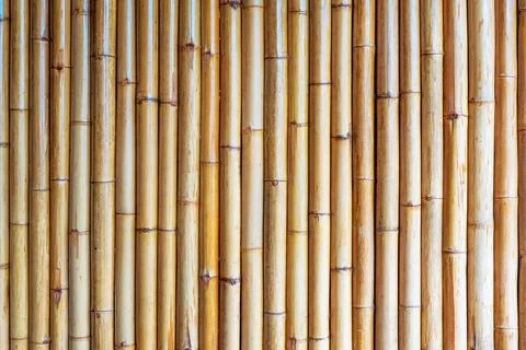 Bamboo fence background Stock Photos