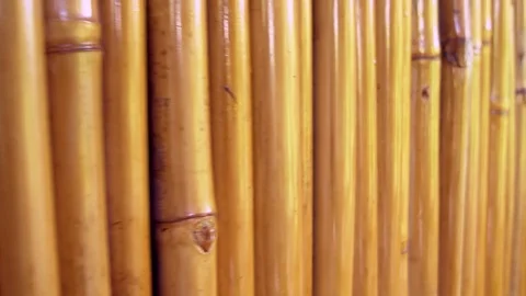 Bamboo fence background texture 스톡 동영상 74080738