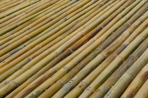 Bamboo fence background texture pattern Stock Photos